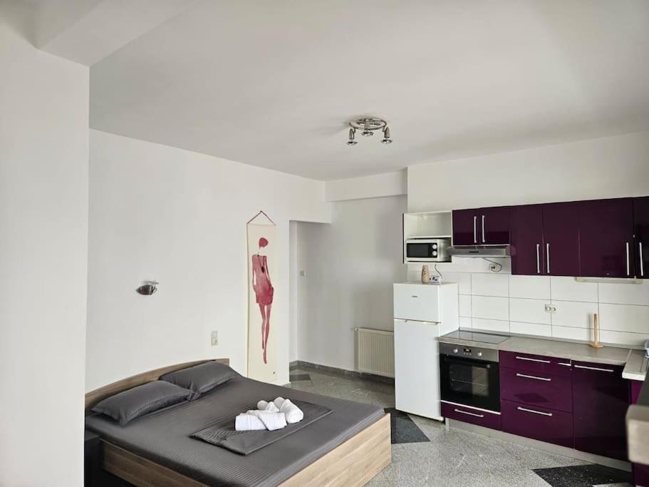 Nice Studio In The Heart Of City Bukurešť Exteriér fotografie